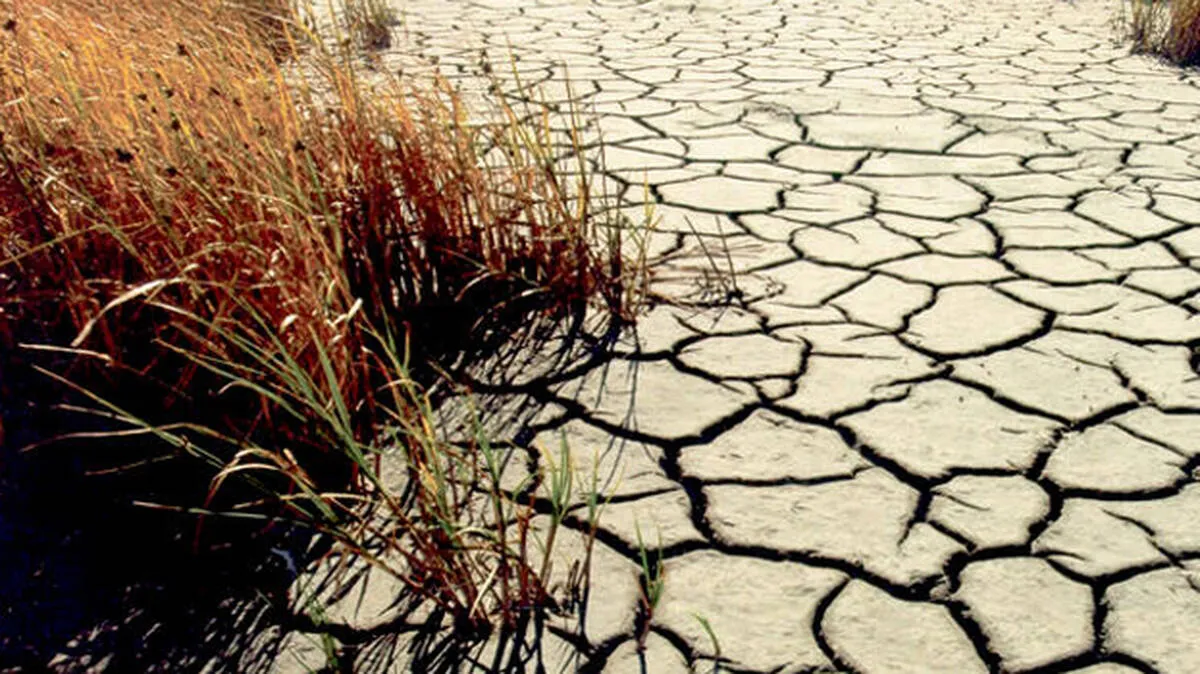 drought