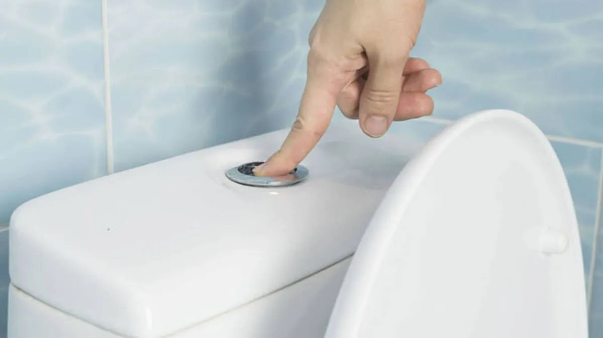 toilet