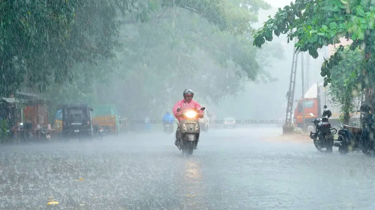 rainfall rainfall