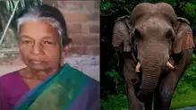 rajamma