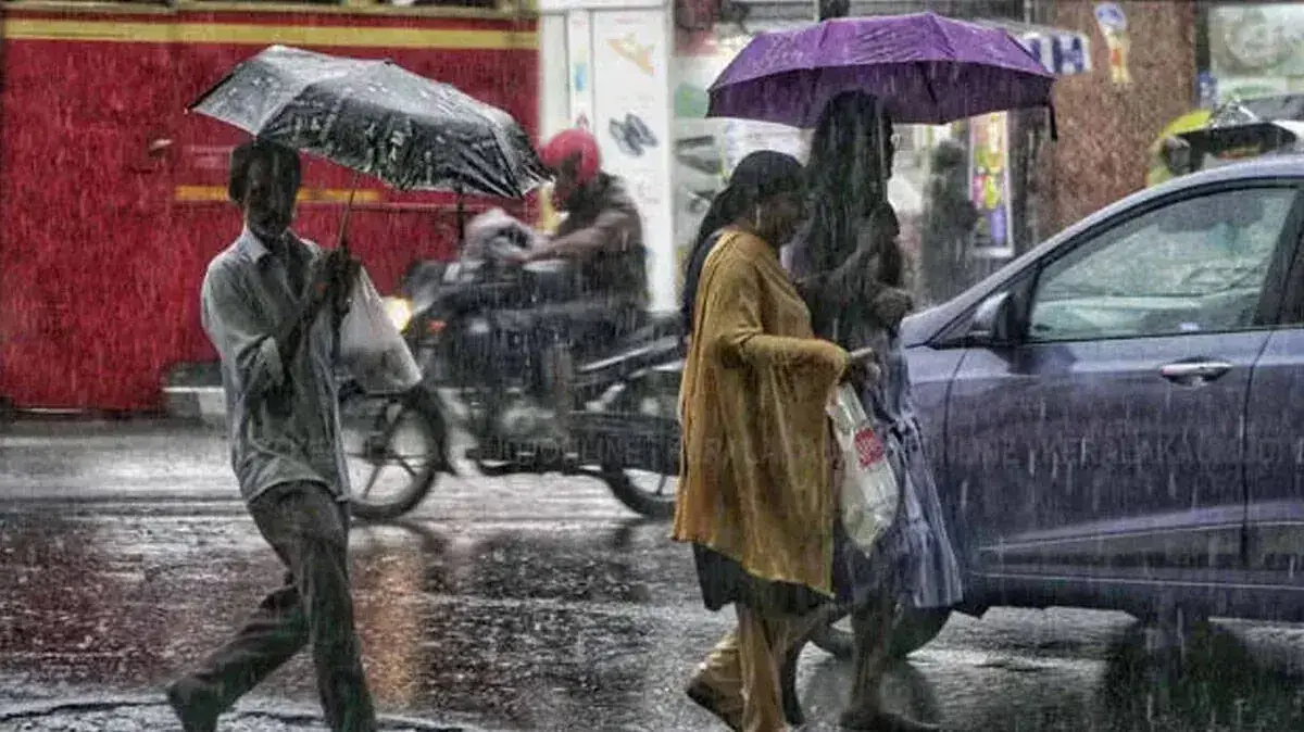 rain