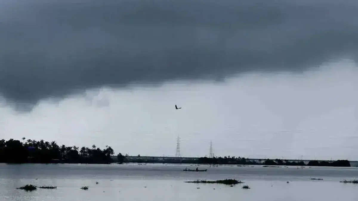 rain