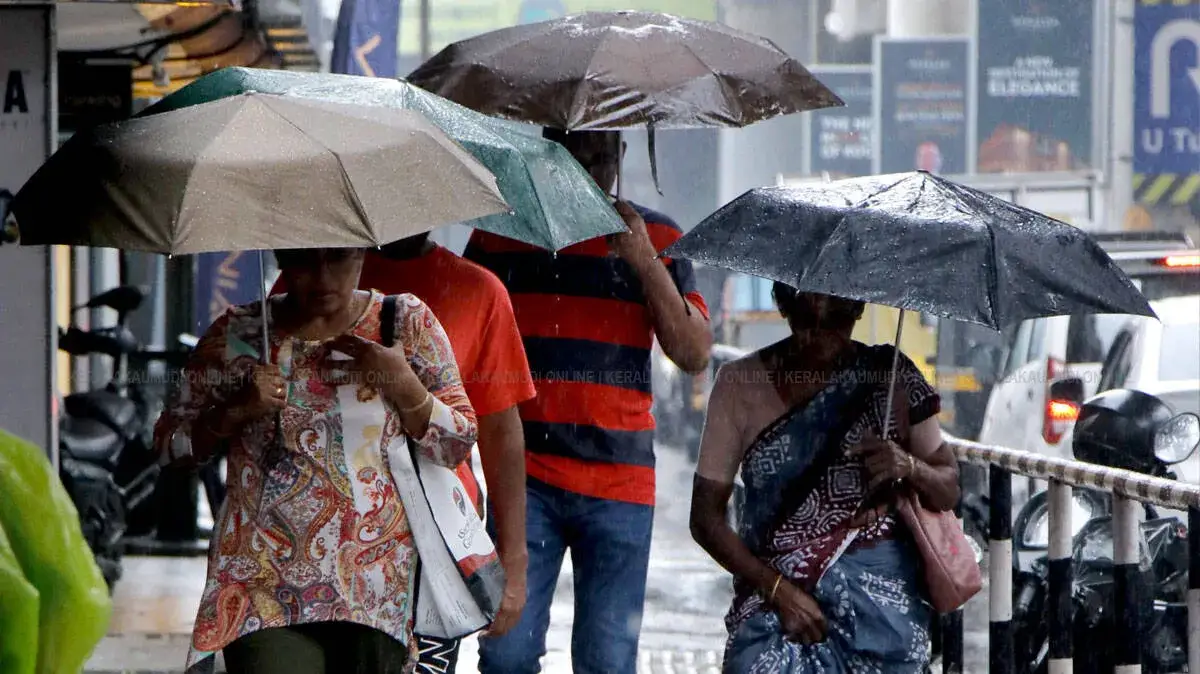 rain