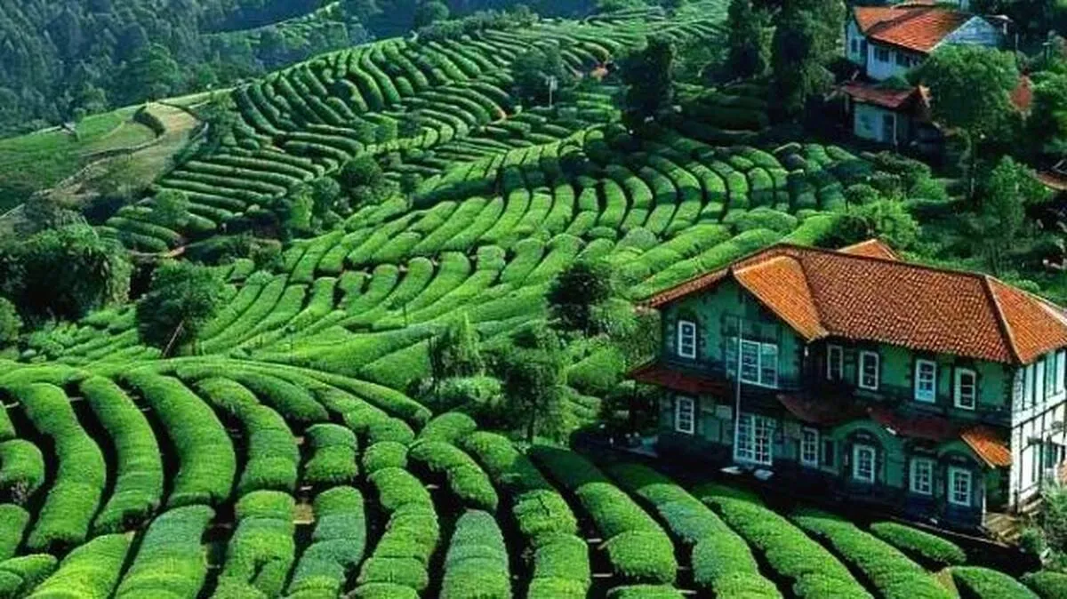 ooty-roads- ooty-roads-