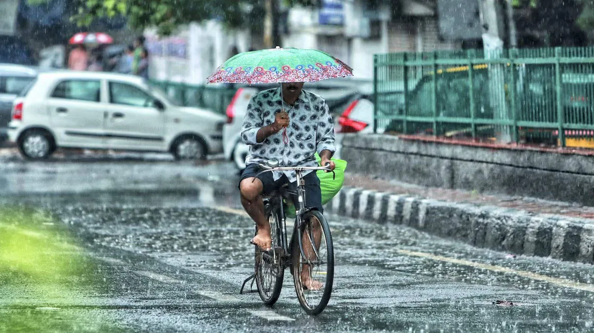 rain