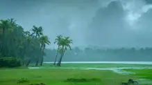 rain