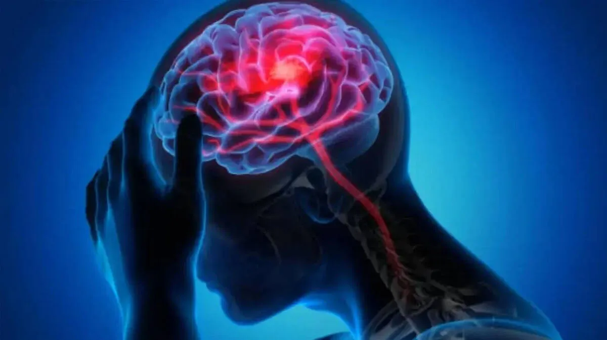 brain